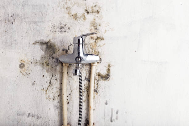 Best Mold Remediation for Schools in Rolling Hills Estates, CA