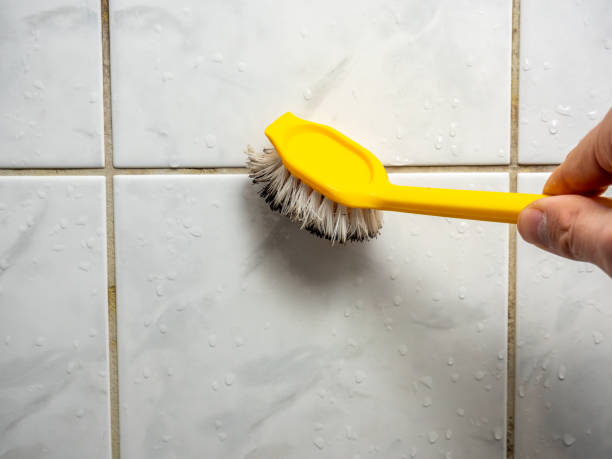 Best Health and Safety Mold Remediation in Rolling Hills Estates, CA