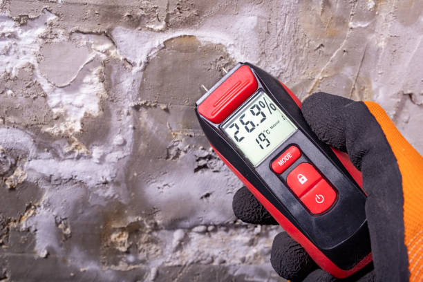Best Black Mold Remediation in Rolling Hills Estates, CA